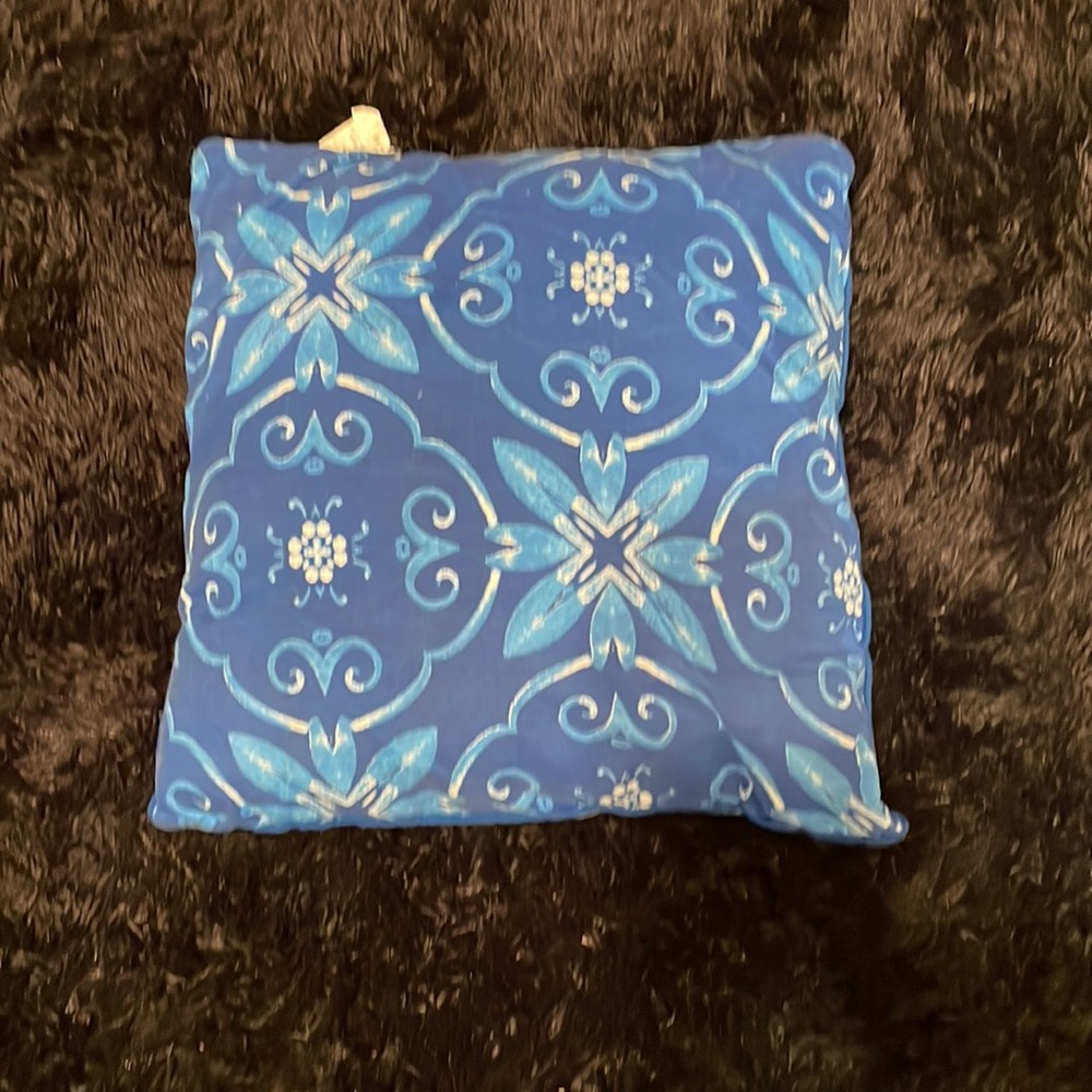 Small pillow with cover case too!